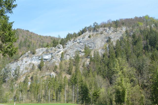 Unterwegs auf der Via Aqua: ´Schöne Rundwanderung von Kienberg nach Gaming. | Foto: Roland Mayr