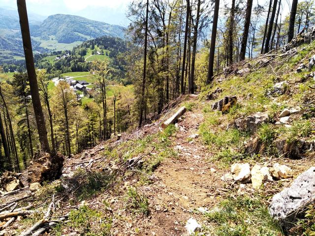Der Büffelsteig auf den Gaisberg ist wieder begehbar.