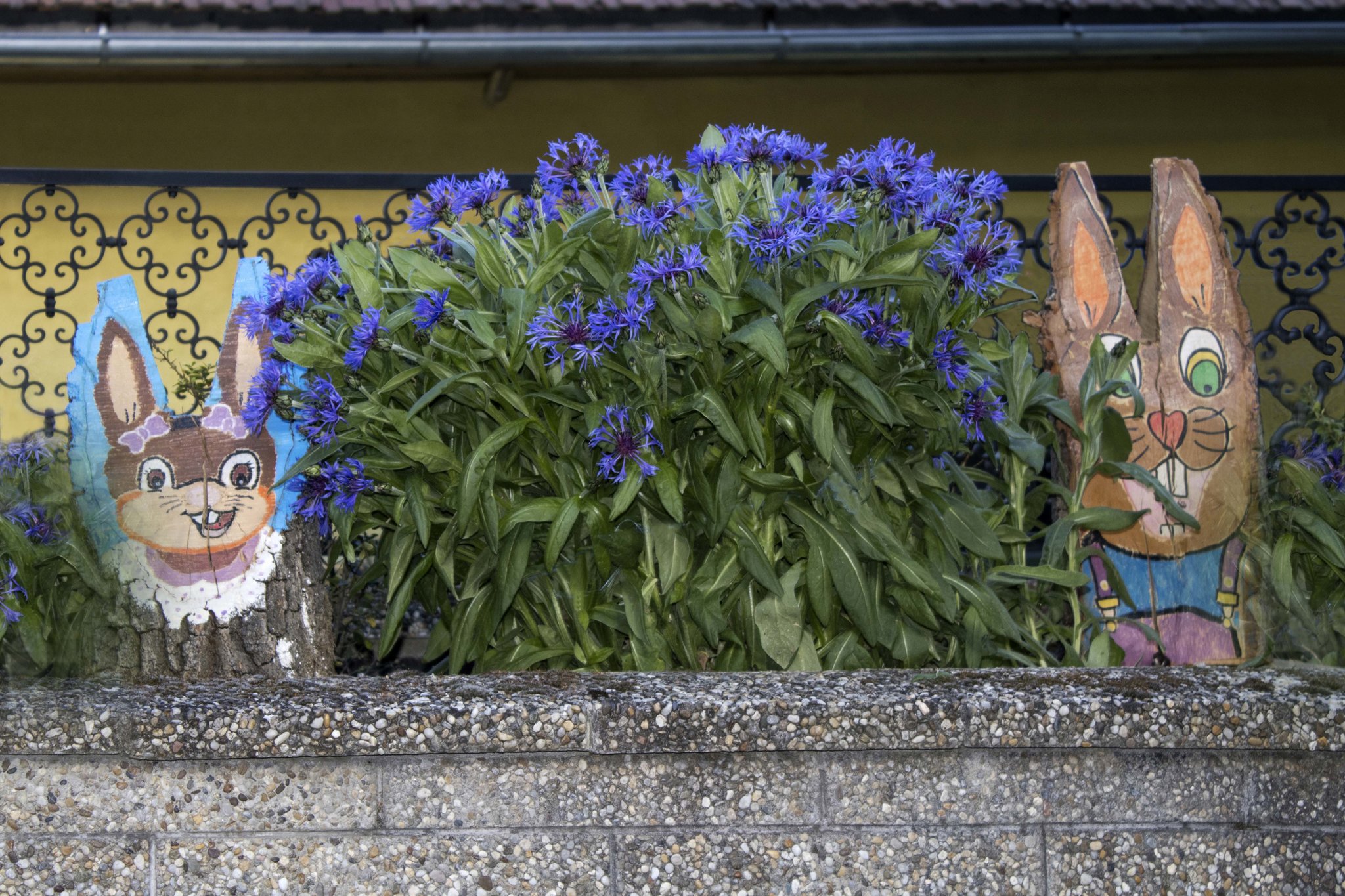 Hasen im Horn