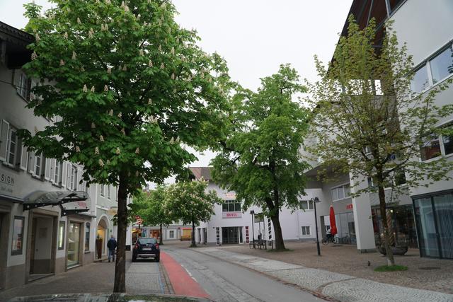 Die Mehrzahl der Bäume bleibt, rund ein Drittel des Bestandes kommt aber weg. | Foto: Reichel