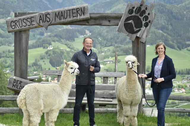 Eine Alpakalänge Abstand gilt für die Besucher am Wilden Berg Mautern.  | Foto: Norbert Ortner