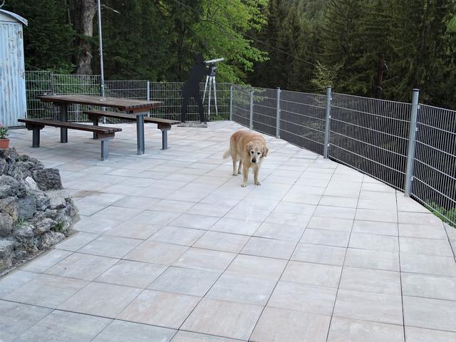 Hund "Balu" erkundete schon einmal die neue Terrasse des Ghega-Museums.