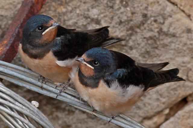 Foto: Christoph Roland