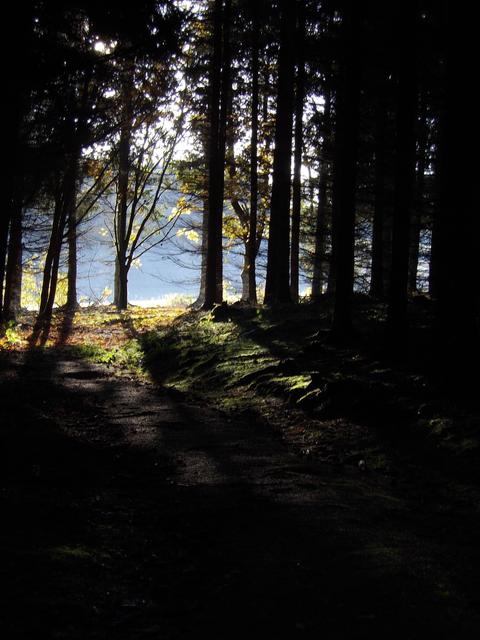Von Litschau nach Loimanns