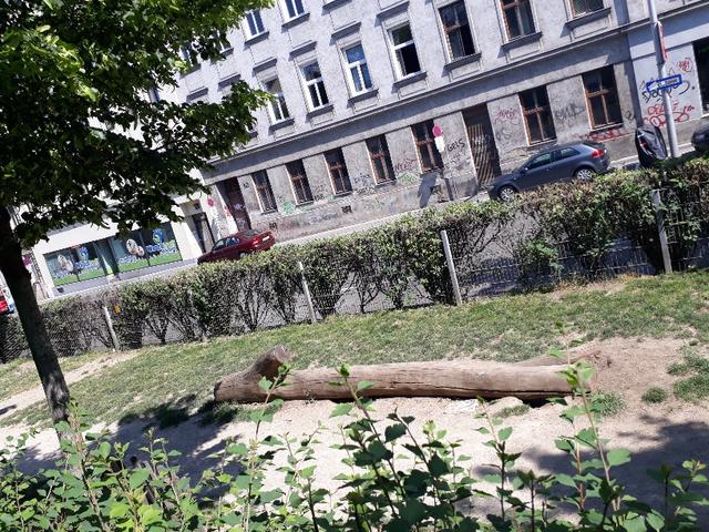 Ein Baumstamm für die Vierbeiner ist vorhanden.