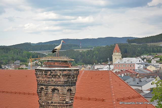 Foto: Erwin Pramhofer