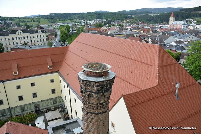 Foto: Erwin Pramhofer