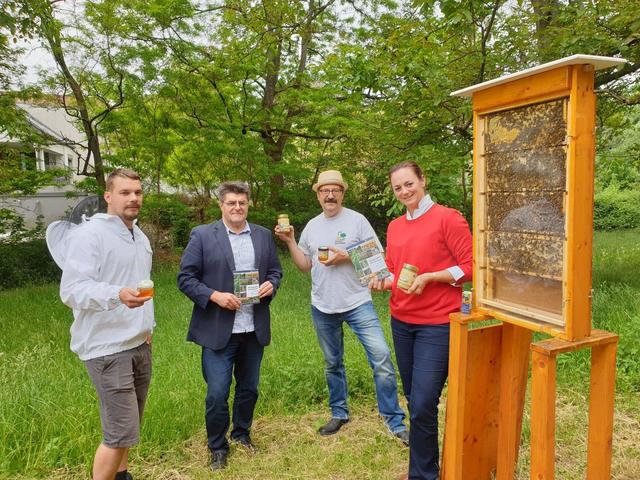 Wiederbefüllung des Schaubienenkastens (vlnr): Naturparkimker Daniel Schöll, BGM Schattendorf Johann Lotter, Naturparkimker Bienenzuchtvereins Obmann Herbert Grafl, Biodiversitätsexpertin (RMB) u. Naturpark Geschäftsführerin Marlene Hrabanek-Bunyai | Foto: Naturpark Rosalia-Kogelberg