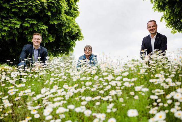 Landesrat Stefan Kaineder, Haslachs Vizebürgermeisterin Elisabeth Reich mit Bürgermeister und Bundesrat Dominik Reisinger auf einer blühenden Margeritenwiese. | Foto: Land Oberösterreich