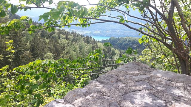 Blick zum Fuschlsee