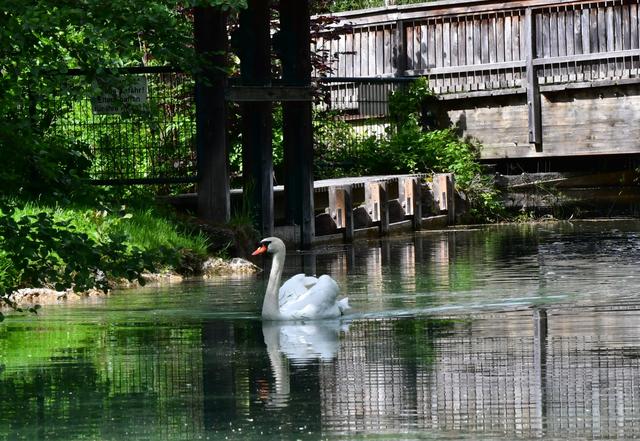 Wehr bei der Wengermühle