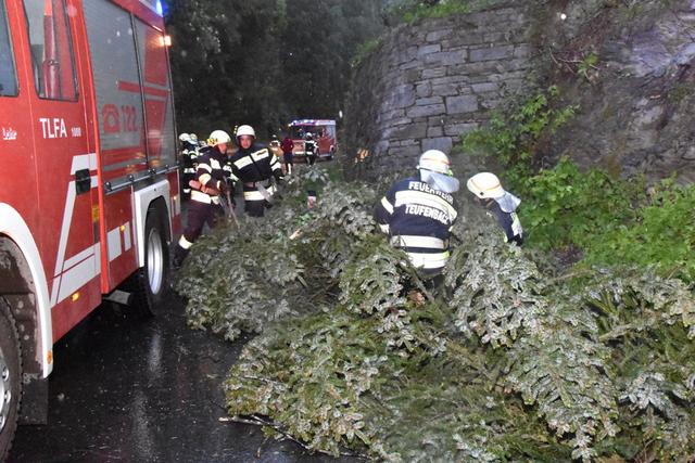 Die Feuerwehr Teufenbach musste Bäume von der Straße räumen.