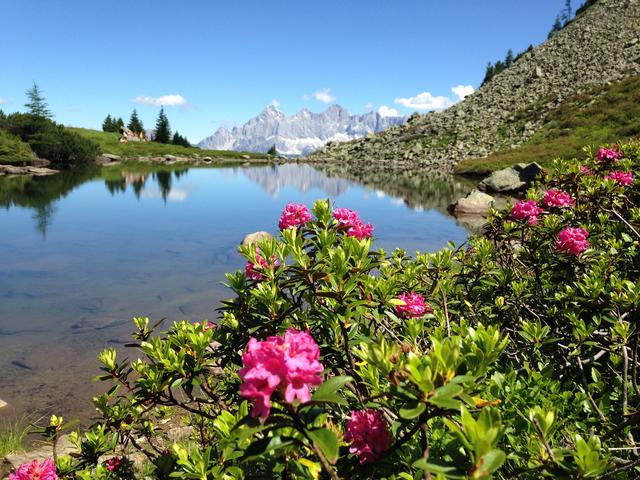 Das wohl bekannteste Fotomotiv der Region – der Spiegelsee mit dem Dachstein – ist für Wanderer wieder erlebbar. | Foto: Reiteralm Bergbahnen