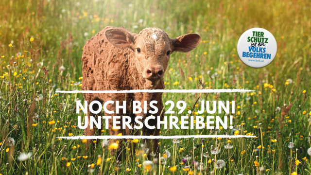 Das Tierschutzvolksbegehren braucht Deine persönliche Beteiligung.