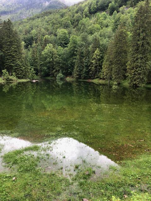 Der Wiesensee am Fuße des Toten Gebirges. | Foto: Sabine Promberger