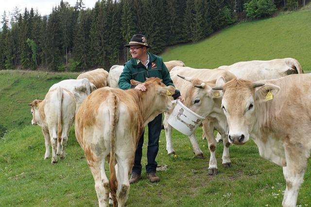 Agrarrebell  Johann Hörzer und seine Murbodner Rinder. | Foto: Servus-TV/Götzhaber