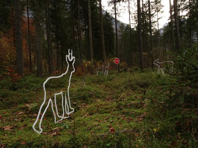 Leihgeberin: Kerstin Klimmer-Kettner, Vorstand Tennengauer Kunstkreis: "Mein Lieblingsstück ist das Objekt: „Capreolus Sapiens”, ein Teil aus dem Kunstprojekt Wild von Korinna Lindinger &amp; Karla Spiluttini aus dem Jahr 2017. Es handelt sich dabei um ein Mischwesen, einem Rehmenschen. Es steht in meinem Garten, direkt vor dem Küchenfenster. Somit gehört es zu den ersten Dingen, die ich morgens, mit meinem Kaffee in der Hand sehe. Ich freue mich jeden Tag darüber, da es mich einerseits an den Wald und die Natur erinnert und andererseits immer wieder zur eingehenden Betrachtung auffordert. Mit den Jahreszeiten verändert sich der Boden und das Licht und geben dem Objekt immer neue Facetten."

Korinna Lindinger und Karla Spiluttini, „Capreolus Sapiens“ (Projekt „Wild“), 2017 | Foto: kaquadrat, 2017