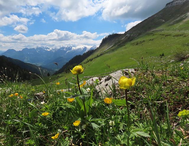 Am Hintertrattberg, im Hintergrund das frisch verschneite Tennengebirge. Am Montag bietet sich das Wetter für eine Wanderung an.  | Foto: Marianne Robl