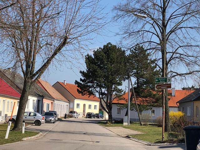 Partnervermittlung aus ladendorf, Ebay kleinanzeigen dating. Thiersee sie sucht ihn markt. Suche sex partnervermittlung aus ladendorf in Beverungen. Partnervermittlung aus ladendorf, Wels-land mnner