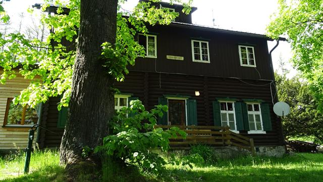 Im hinteren Bereich der Speckbacher-Hütte beeindrucken dickstämmige, hohe ... | Foto: S.Plischek