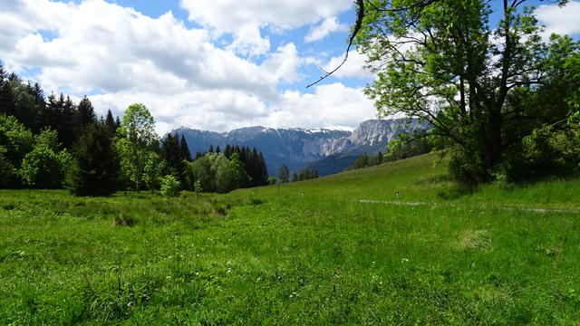Mit einem tollen Blick zur Rax bei der Anfahrt, ... | Foto: S.Plischek