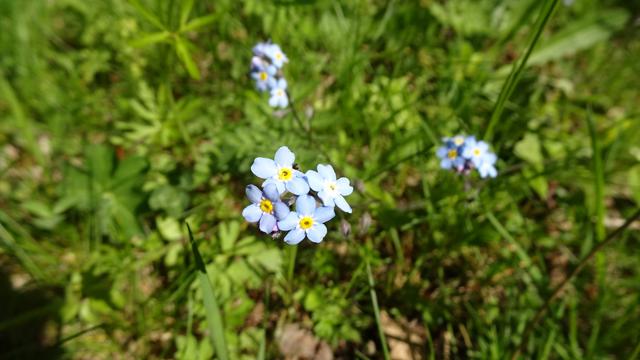 Solche wunderbaren Erlebnisse vergisst man nicht! ... Auf Wiedersehen und bis zum nächsten Mal auf dem Kreuzberg! | Foto: S.Plischek