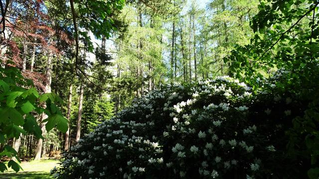 Jetzt werfen wir noch einen Blick auf die andere Seite! ... | Foto: S.Plischek