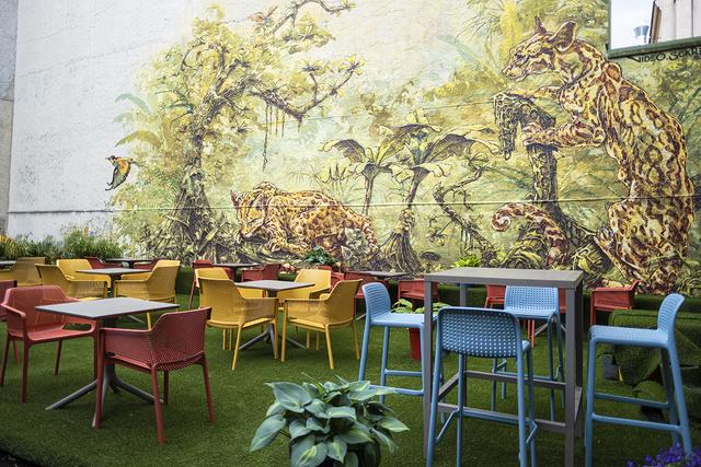 Wandmotiv der Linzer Video und Sckre. | Foto: BeenieInes Thomsen