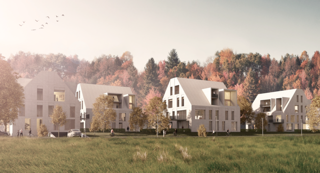 Naturwohnpark Steyr: Siegerprojekt von Schneider &amp; Lengauer Architekten. | Foto: Schneider &amp; Lengauer