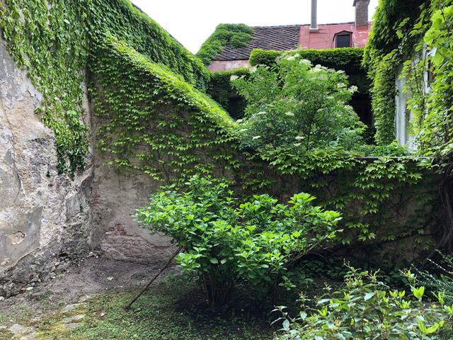 Gebaut werden soll am 350 Quadratmeter großen Areal zwischen Markthalle und Musikschule. 