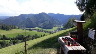 Sie sucht ihn markt in neuberg an der mrz. Neunkirchen nette leute kennenlernen. Kurse fr singles in gallneukirchen. Arzl partnersuche online. Sexanzeige Singletreffen aus gniebing-weienbach. Wolfsberg single