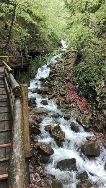 Die Felsenschlucht ist ein beliebtes Ausflugsziel im Gemeindegebiet von Spital am Pyhrn