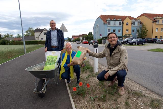 Herbert Pribill (l.), Sylvia Membier und Vizebürgermeister Johann Gansterer (r.) bei einem der künftigen Blumenstreifen in der Blätterstraße.