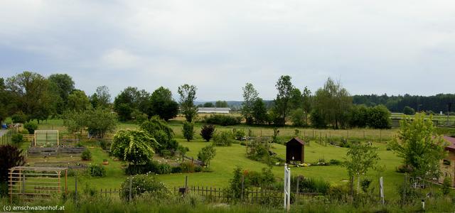 Der Naturschaugarten "Am Schwalbenhof" in Bierbaum bei Bad Blumau kann auch besichtigt werden.