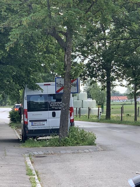 Die Ortstafel Richtung Wienersdorf - ausnahmsweise nicht von einem LKW am Abend verborgen, aber etwas "verschämt" hinter dem Baum!
