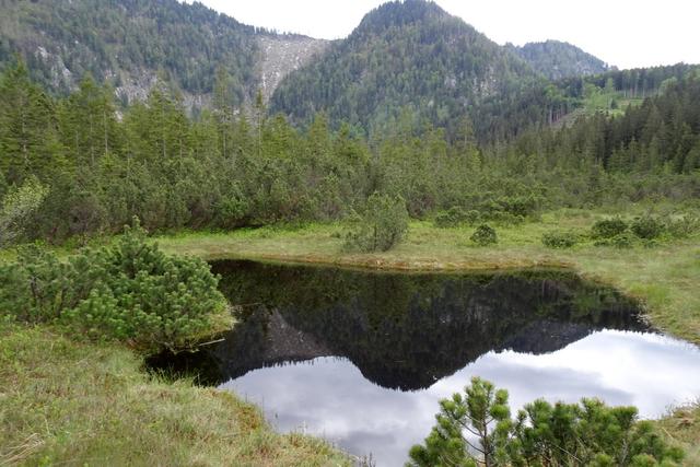 Das "Moorauge" im Leckermoos
