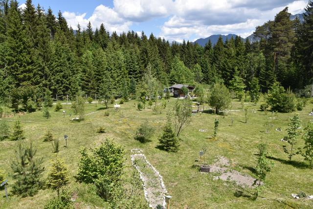 Auf einer Fläche von 7.200 m2 sind 121 ausgeschilderte Baum- Strauch- und Bienengewächse in ihrem Wachstum zu beobachten.