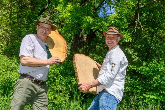 Günther Reininger, Förster und Revierleiter ÖBf-Revier Kierling, und Axel Kiesbye, Naturbrauer und Braumeister, mit Fallkerb und Baumscheibe, Wienerwald (NÖ).