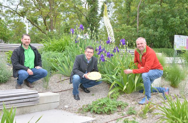Bauhof-Leiter Florian Pauser, Bürgermeister Mag. Peter Eisenschenk, Bereichsleiter Öffentlicher Grünraum Mario Jaglarz.