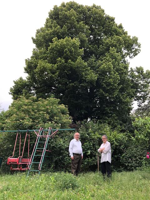 18 Meter hoch ist die Linde in Anna und Peter Liebhards Nachbargarten.
