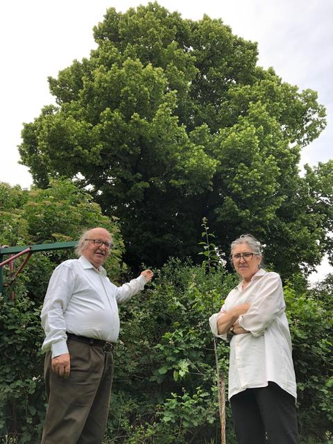 Anna und Peter Liebhard wollen die Linde schützen.