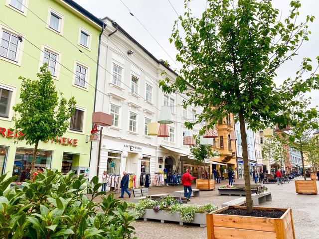 Frische Patenbäume am Hauptplatz.
 | Foto: Stadt Villach/Kofler