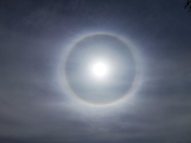 Foto: Friedrich Kapusta / aufgenommen mit Huawei P 30 pro