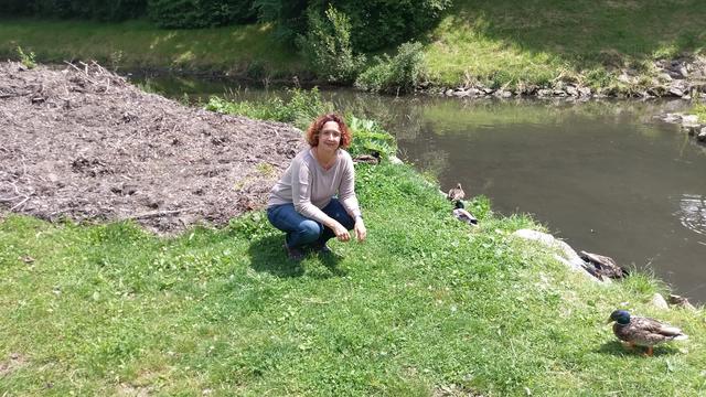 Das gereinigte Entenbecken an der Dürren Liesing in Rodaun. Die Enten haben sichtlich eine Freude damit. | Foto: Höbart