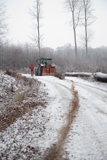 Traktor zieht Eichenstamm aus dem Wald | Foto: ÖBf/Frank Helmreich