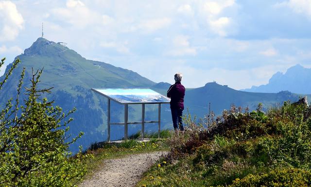 Ausblick auf das Kitzbüheler Horn vom Speichersee auf der Ehrenbachhöhe (Fleckalm). | Foto: Friedl Schwaighofer