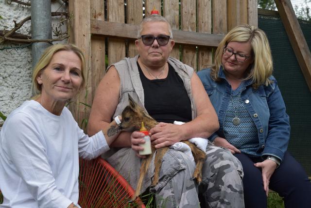 Renate Sprickler, Gabi Kaar, Birgit Etzelsdorfer