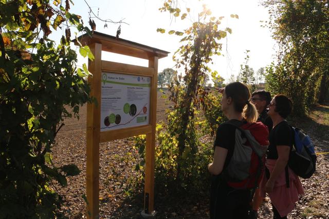 Foto: KLAR! Naturpark Pöllauer Tal