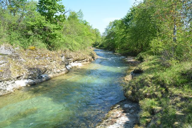 Unterwegs auf der Via Aqua: Der Erlauf entlang führt der Weg ins Purgstaller Zentrum. | Foto: Roland Mayr