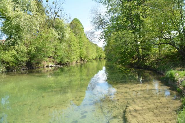 Unterwegs auf der Via Aqua: Der Erlauf entlang führt der Weg ins Purgstaller Zentrum. | Foto: Roland Mayr